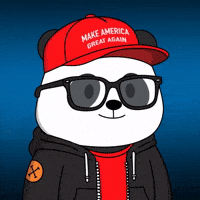 Hello GIF by Pandu Pandas