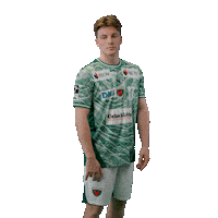 Handball Berlin Sticker by DAIKIN HBL