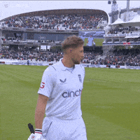 Happy England Cricket GIF by Lord's Cricket Ground