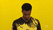 Look Up Borussia Dortmund GIF by Bundesliga