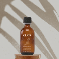 AlfaparfMilanoUSA  GIF