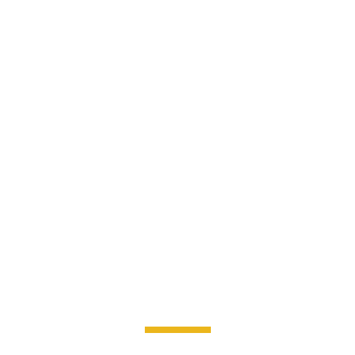 lionsclubs giphyupload vision lions sight Sticker
