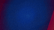Germany Football GIF by Holstein Kiel