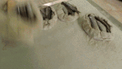 travel channel GIF