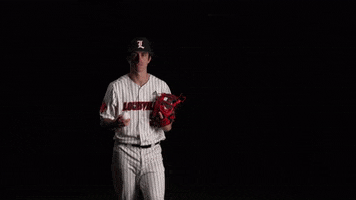 University Of Louisville Baseball GIF by Louisville Cardinals