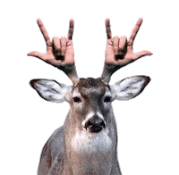 Party Rock Sticker