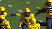 College Football GIF by WVU Sports