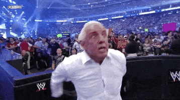Ric Flair Sport GIF by WWE