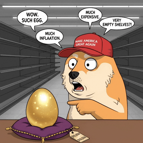 Shocked Shiba Inu GIF by Doge Pound