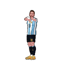 World Cup Football Sticker by Panini America