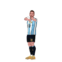 World Cup Football Sticker by Panini America