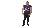 Football Celebrate Sticker by autumnlakehealthcare