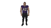 Football Nfl Sticker by autumnlakehealthcare