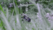 Music Video Waiting GIF by aldn