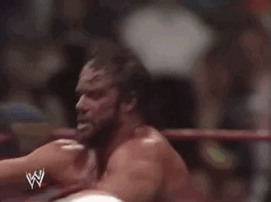 Randy Savage Sport GIF by WWE