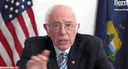 Bernie Sanders Of Course It Is GIF by Election 2020