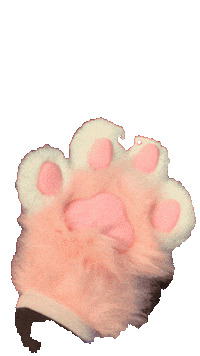 Cat Pink Sticker