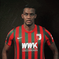 La Pantera Bundesliga GIF by FC Augsburg 1907