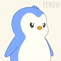 Penguin No GIF by Pudgy Penguins