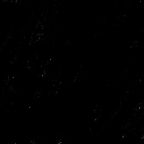 Human Rights News GIF by Creative Courage