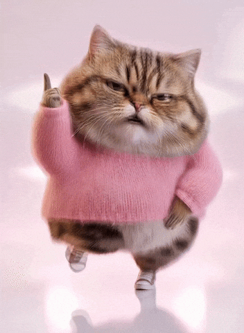 Dance Dancing GIF