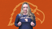 C-N Volleyball GIF by Carson-Newman Athletics