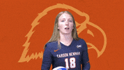 C-N Volleyball GIF by Carson-Newman Athletics