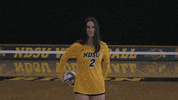 Volleyball Bison GIF by NDSU Athletics