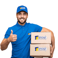 tleficaz ecommerce logistica mensajeria operador logistico Sticker
