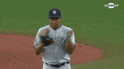 New York Yankees Win GIF by YES Network