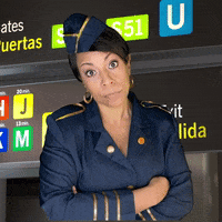 Recognize Air Marshal GIF by Holly Logan