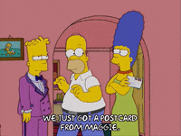 homer simpson GIF