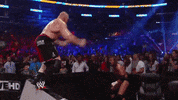 wwe sports wwe wrestling 2012 GIF