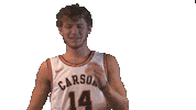 Hair No Sticker by Carson-Newman Athletics