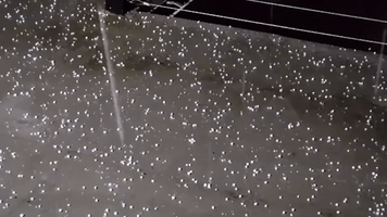 Storm Brings Hail and Lightning to Seattle