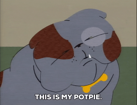 GIF by South Park 