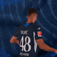 Sport Bundesliga GIF by TSG Hoffenheim