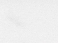 Computer Virus GIF by YK Animation Studio