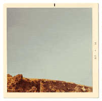 animation vintage GIF by Photojojo