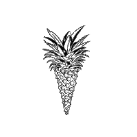 lepolycone polycône cone ananas Sticker
