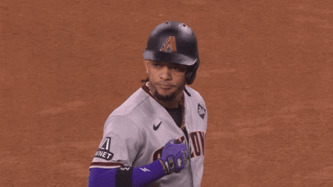 Happy Major League Baseball GIF by MLB