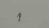 etats-unis blizzard GIF by BFMTV