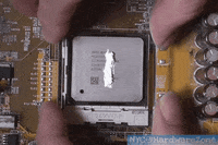 GIF by Giffffr