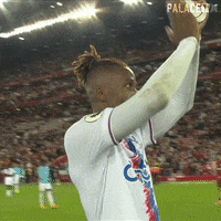 Premier League Thank You GIF by CPFC