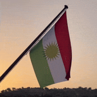 Flag Al GIF