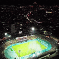 Flag Al GIF