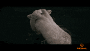 Watching I See You GIF by Regal