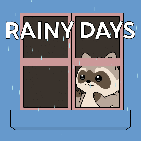 Bitcoin Rain GIF by Ordinary Frends