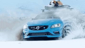 snow tossing GIF