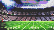 Hip Hop Nfl GIF by Denzel Curry